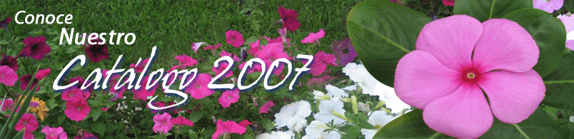 Cat&aacute;logo 2007- Plantas y Flores Maya Flora